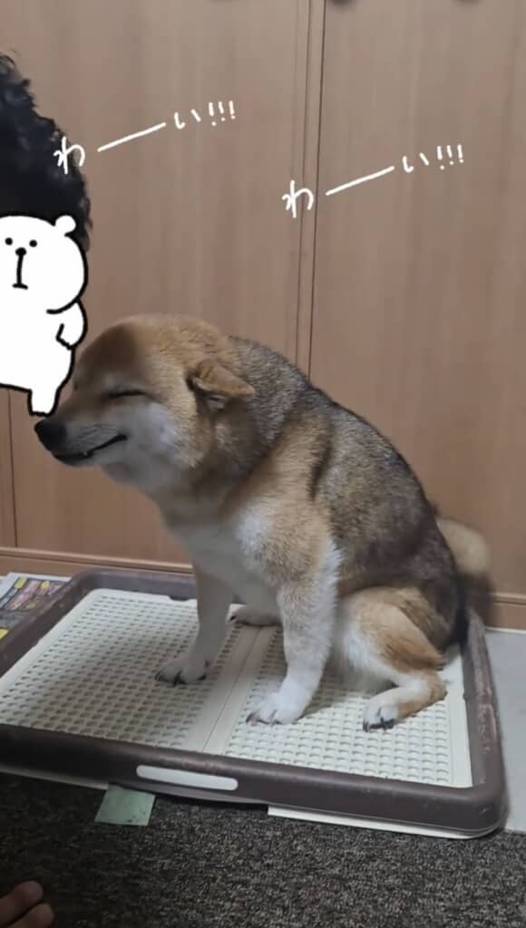 目つぶってて見えないw
