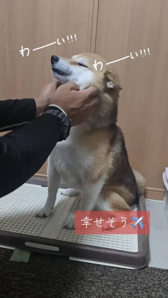 トイレからは動かない