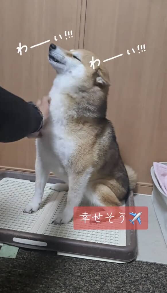なんて幸せそうなお顔