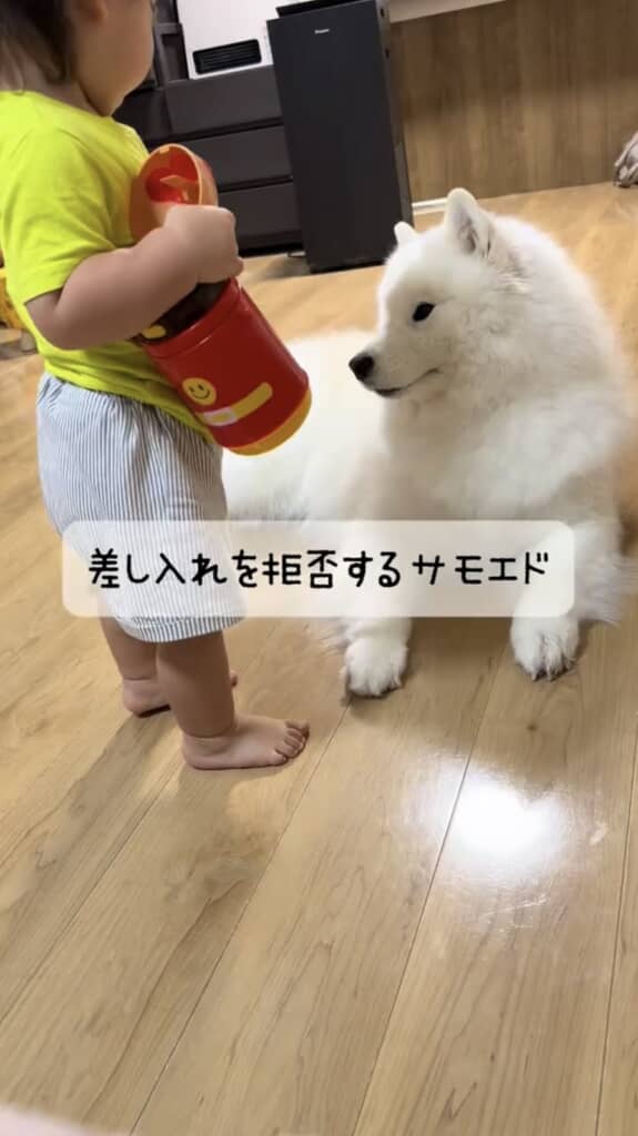 息子くんから差し入れをもらいました