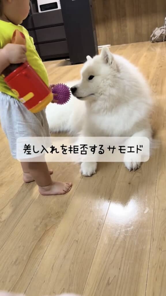 トゲトゲボール！