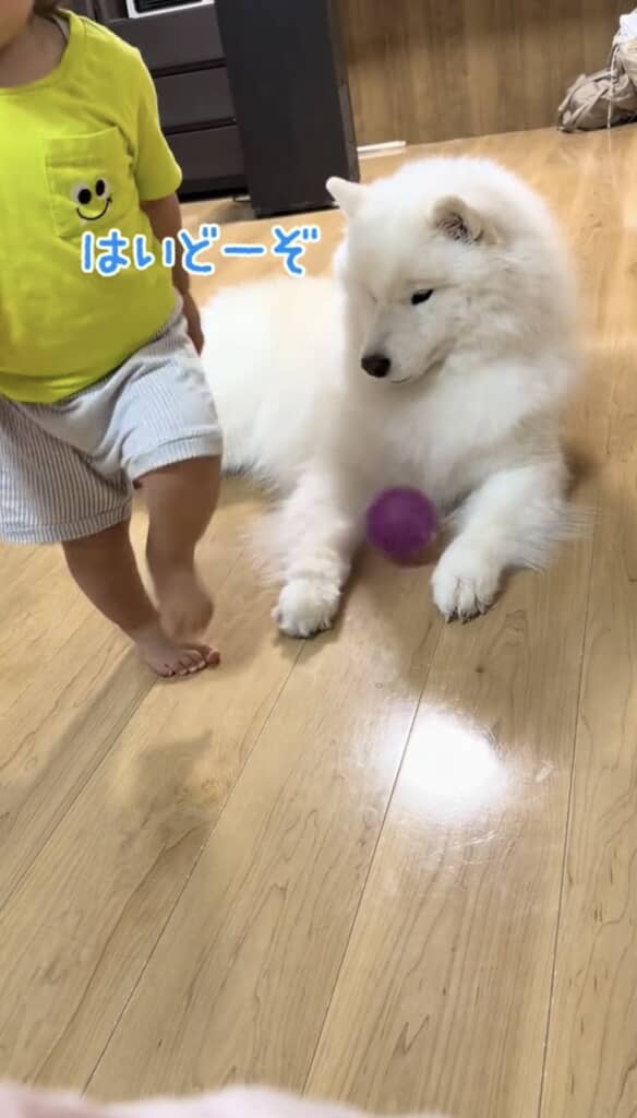 目の前に置かれると