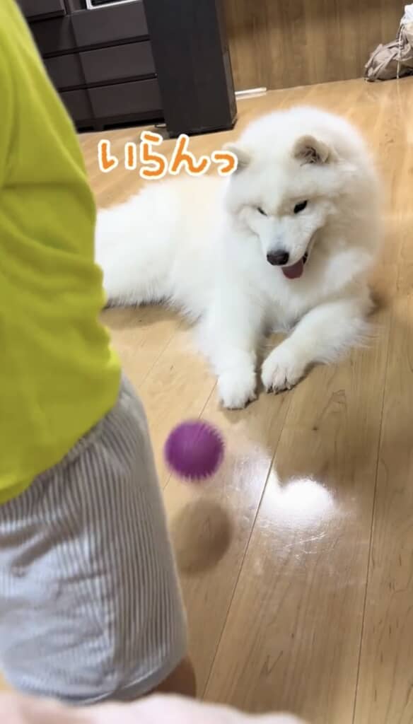 まさかの返却