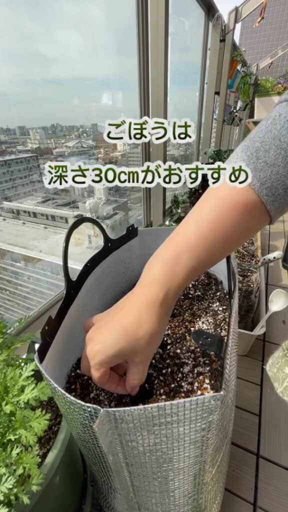 土に少し穴を開けて種まき