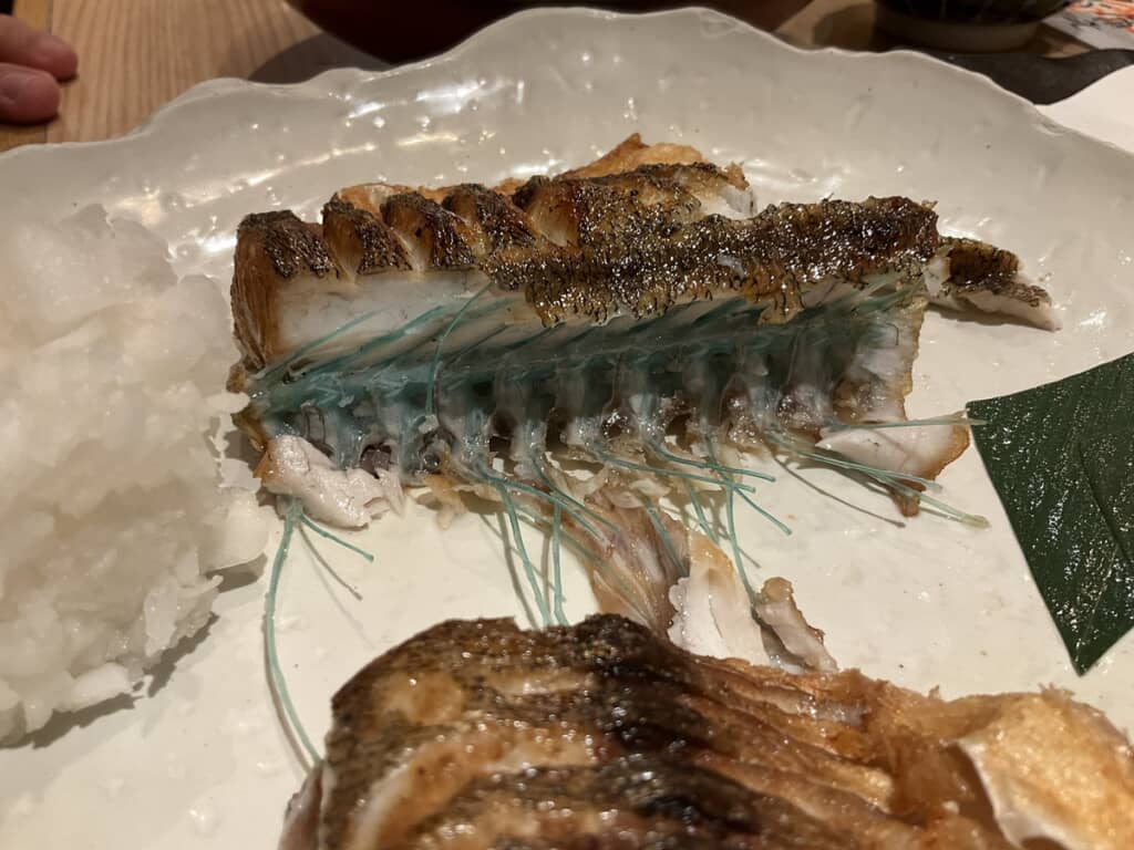 骨が青いダツ