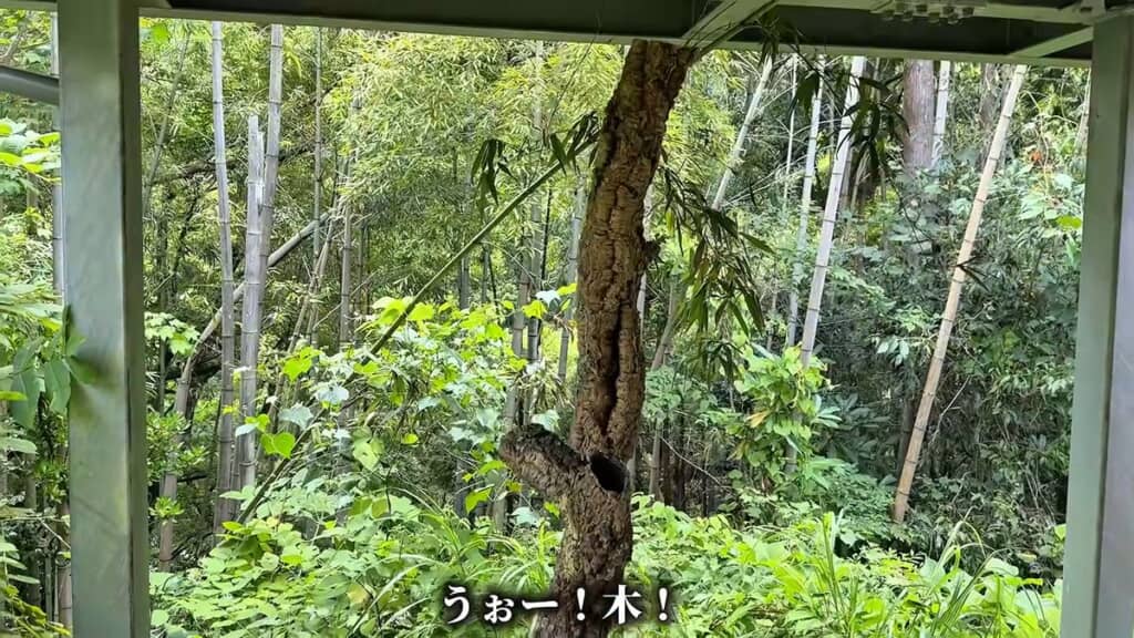 樹皮をかぶせて木に仕立てたスタンドライト
