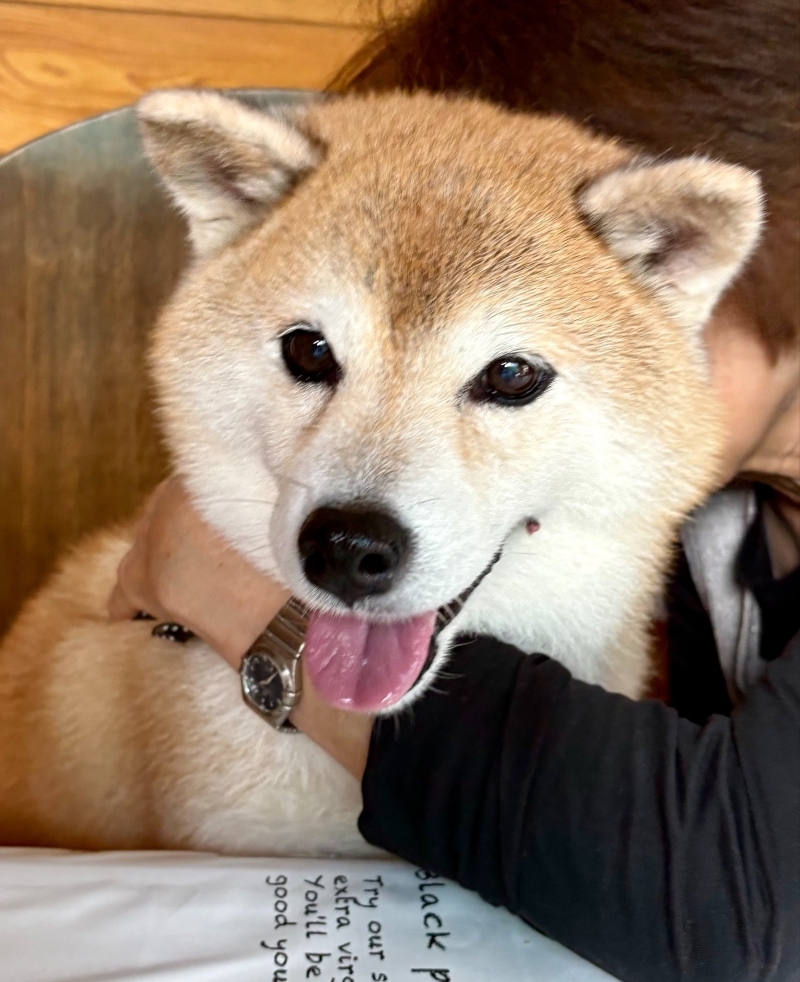大好きなばぁばにギュッとされて嬉しそうなえまちゃん