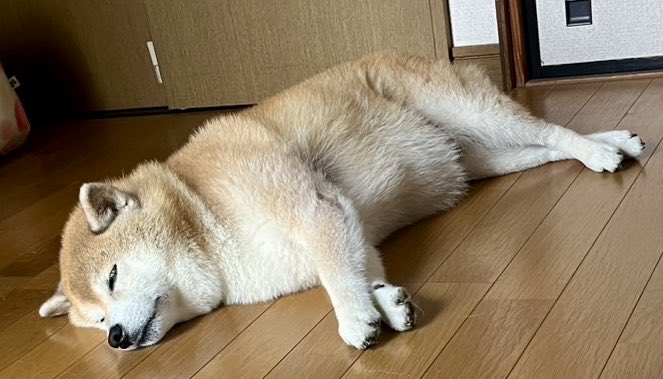 寝込んだばぁばを心配して部屋の前で寝ているえまちゃん