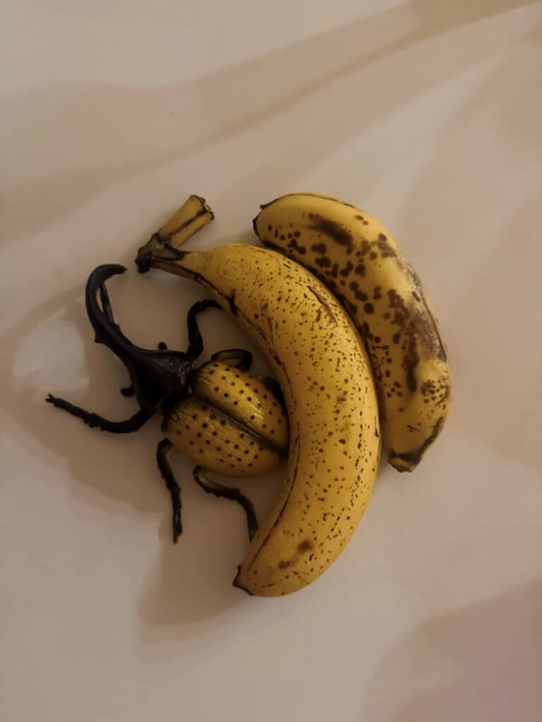 いやぁぁぁぁぁ!