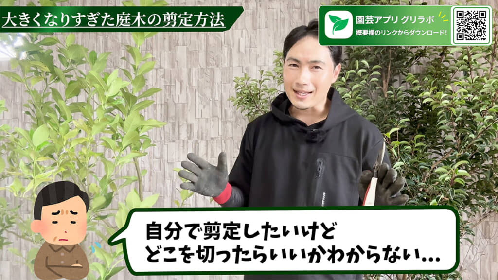 自分で庭木を剪定する際のコツを教えてくれます