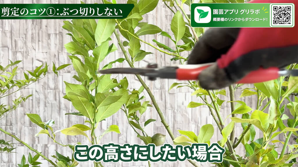 まずは高さを決めます