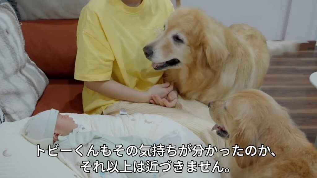どちらもやさしい心の持ち主です