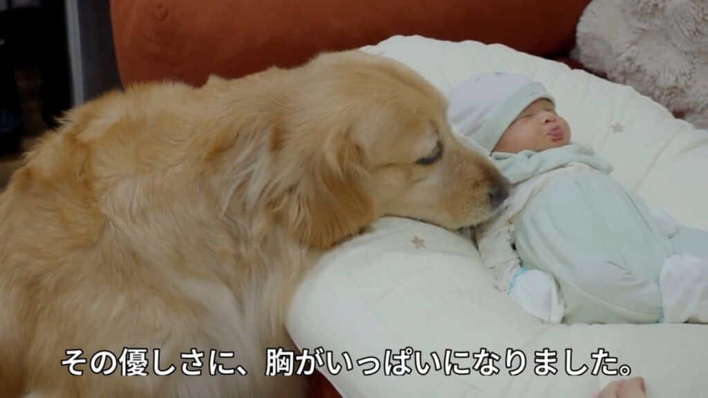 赤ちゃんに寄り添ってあやすようなキャンディちゃん