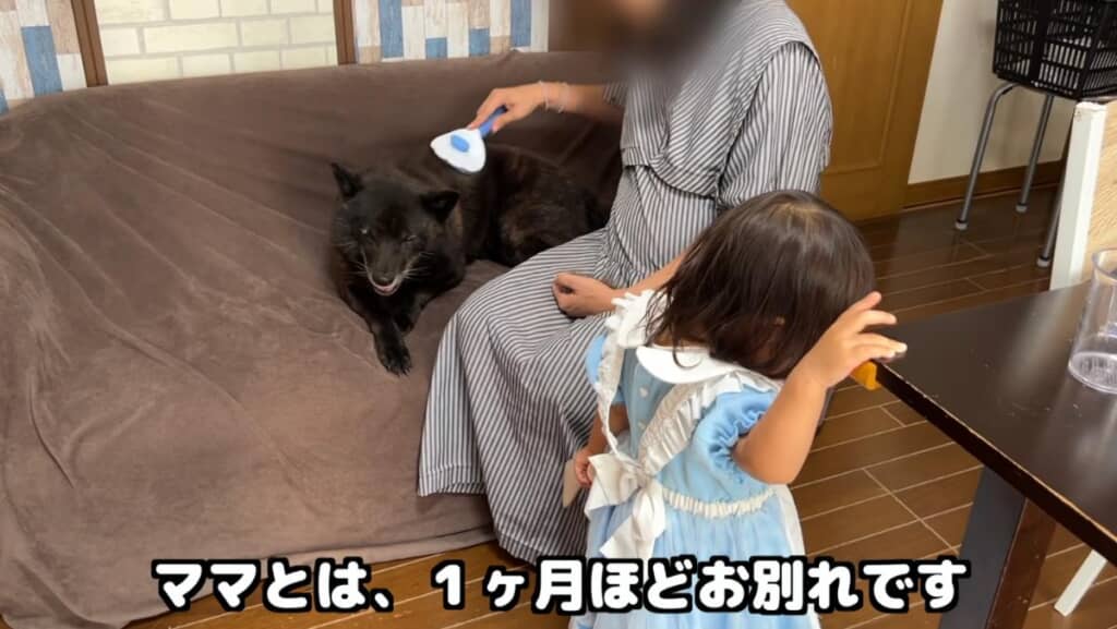ママさんはこの日から娘ちゃんたちを連れて実家へ帰省