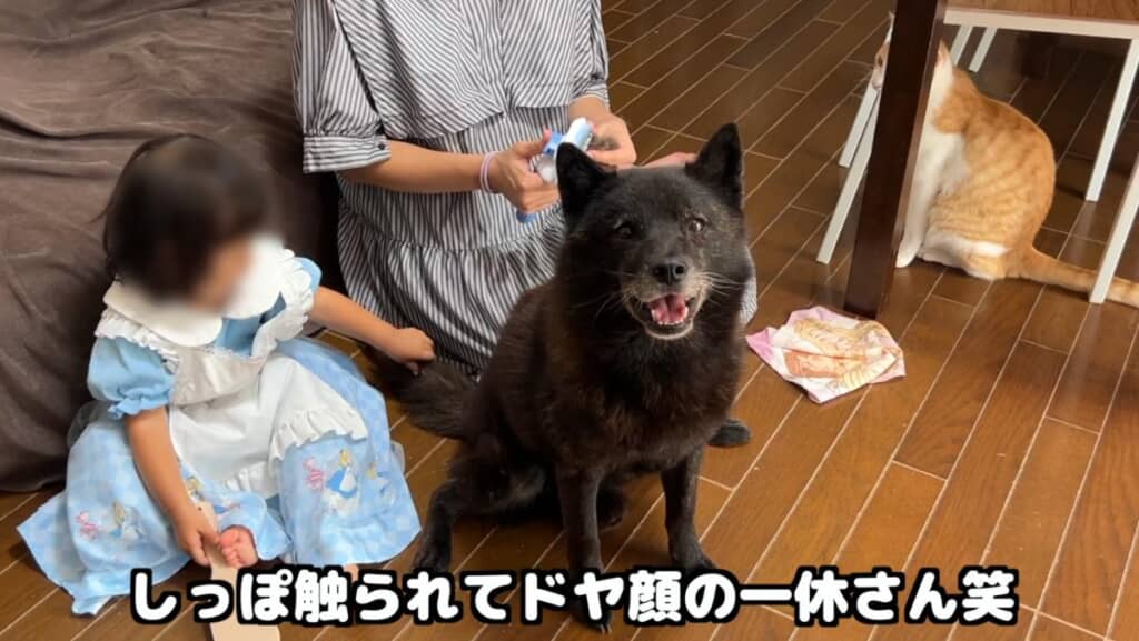 一休さんはイトちゃんにしっぽを触られて、幸せそうにドヤ顔