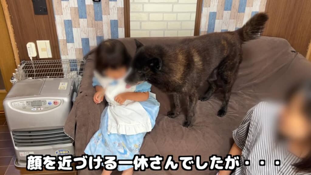 まだ距離感が難しいかな？