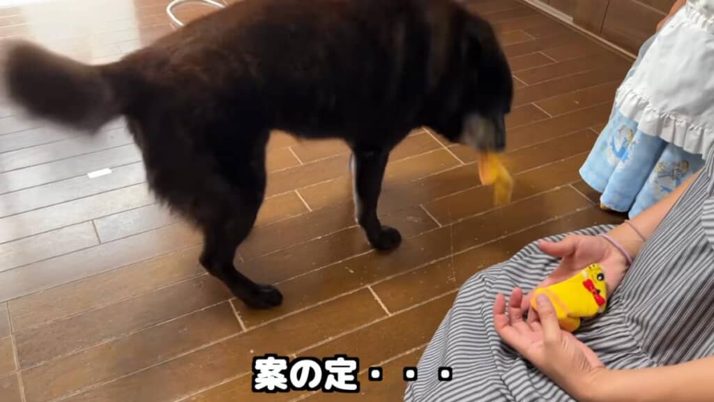 ブチギレで靴下を脱ぎ捨ててしまいました