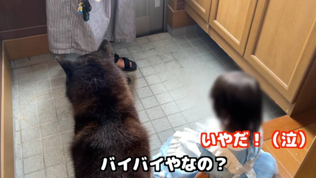 一休さんとバイバイしたくないイトちゃん