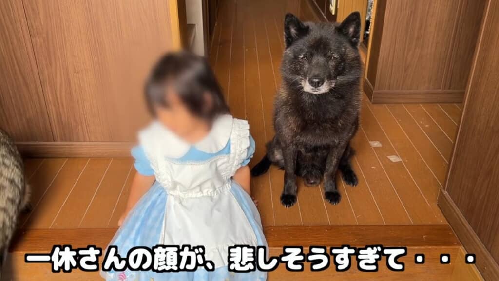 一休さんもどことなく悲しそう