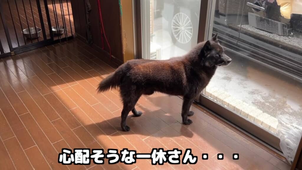 心配そうに見守る一休さん