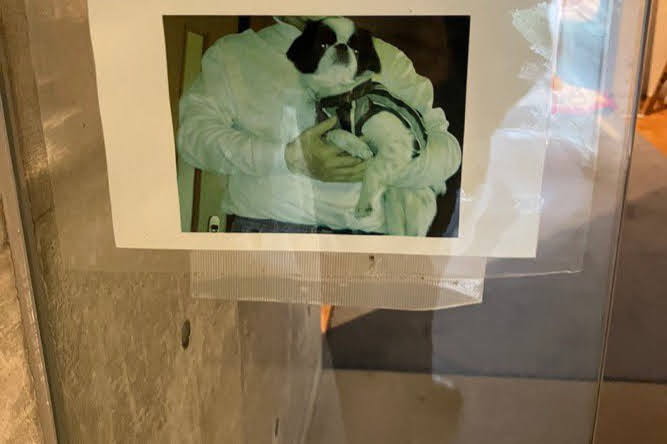 ワンコを抱っこする写真にあった言葉は……