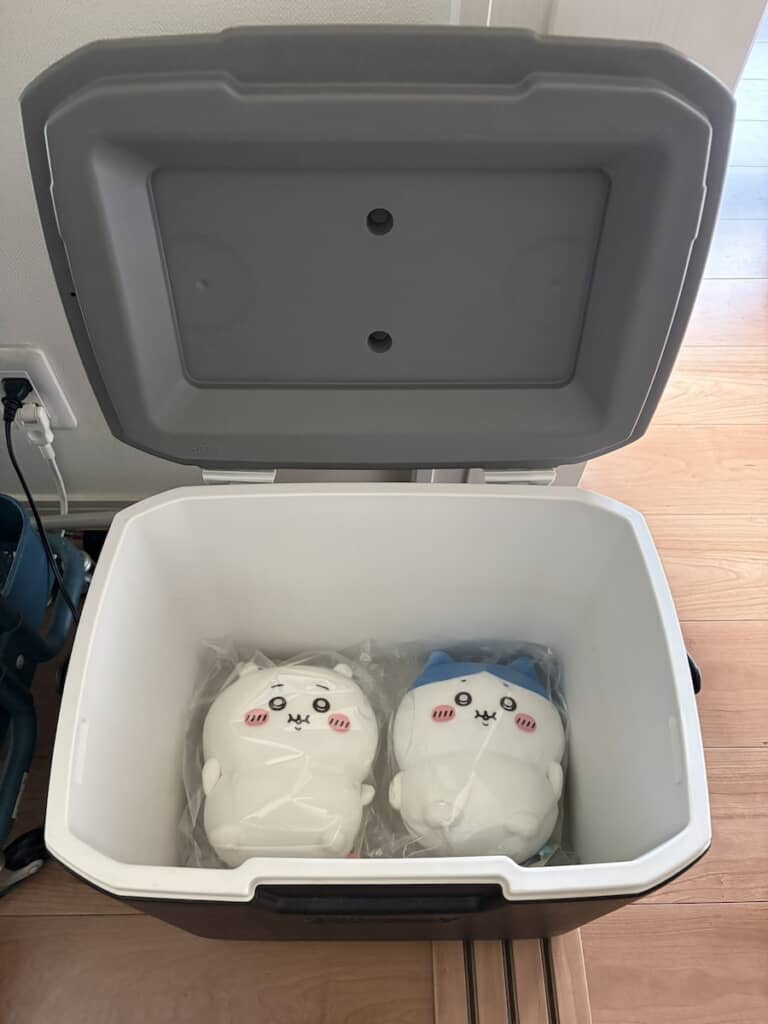 中には、ちいかわとハチワレのぬいぐるみが!