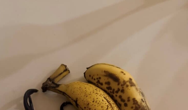 テーブルの上を見ると……?