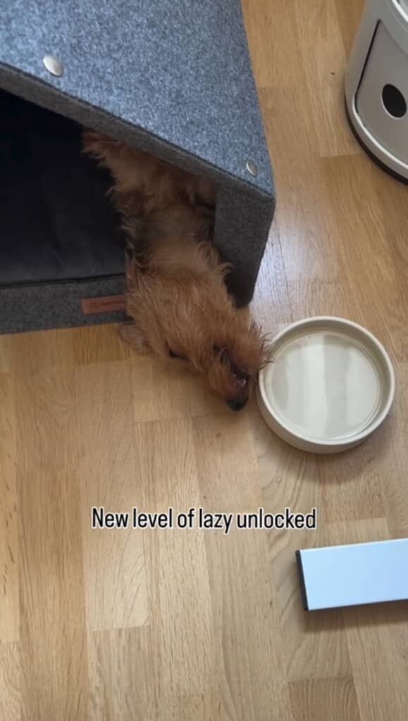 目を閉じたまま飲んでまた眠ったようです