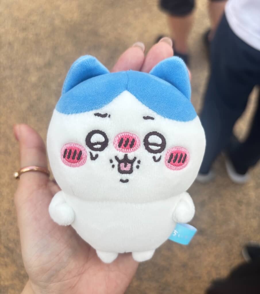 おじさんが拾ってくれたハチワレのぬいぐるみ。表情も相まって落としたことが申し訳なくなってくる……！（画像提供：Ree／@sxs1301さん）