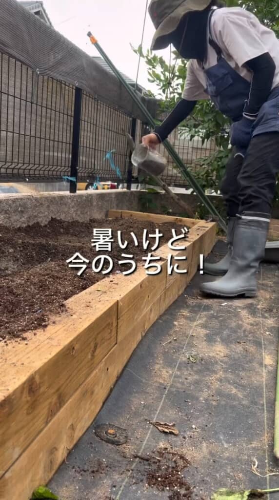 肥料を畑にまく様子