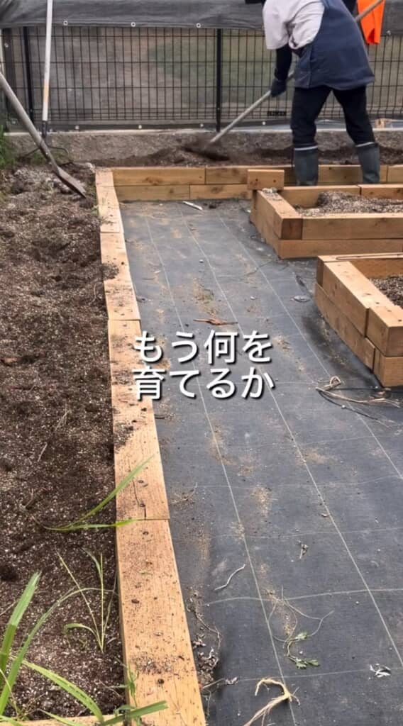 畑を耕す様子