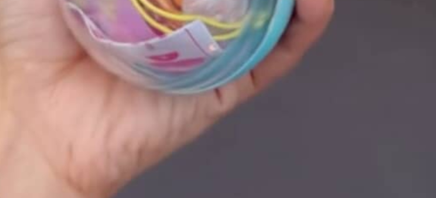 ディズニーランドで“700円”のカプセルトイを回すと…… 「嘘でしょ」目を疑う光景に「逆にすごい引き」「強運」(1/3) | ライフスタイル ねとらぼ