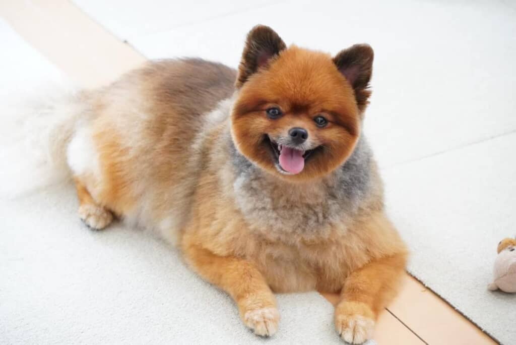 合成写真のような仕上がりに