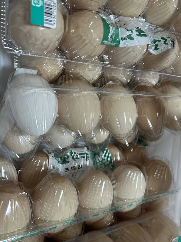 いきなり家にやってきた100個の卵