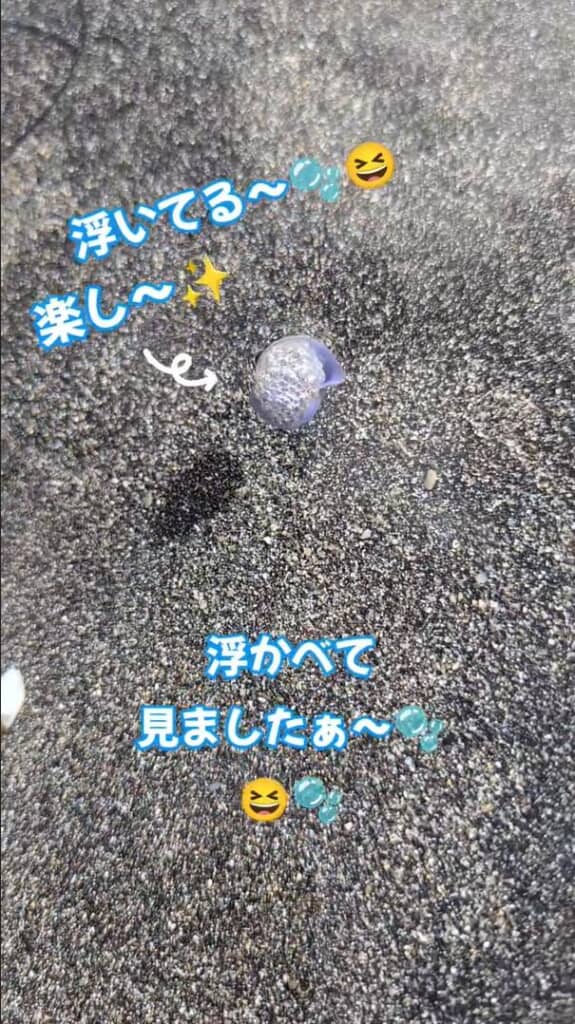貝殻を水に浮かべている