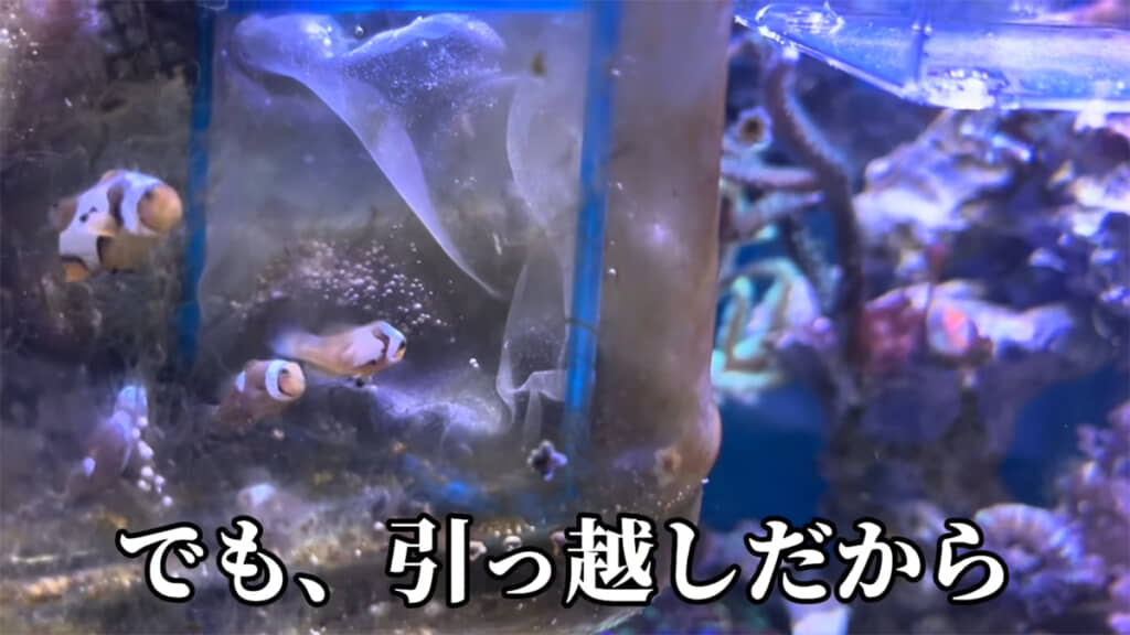 ついにお引越しです!