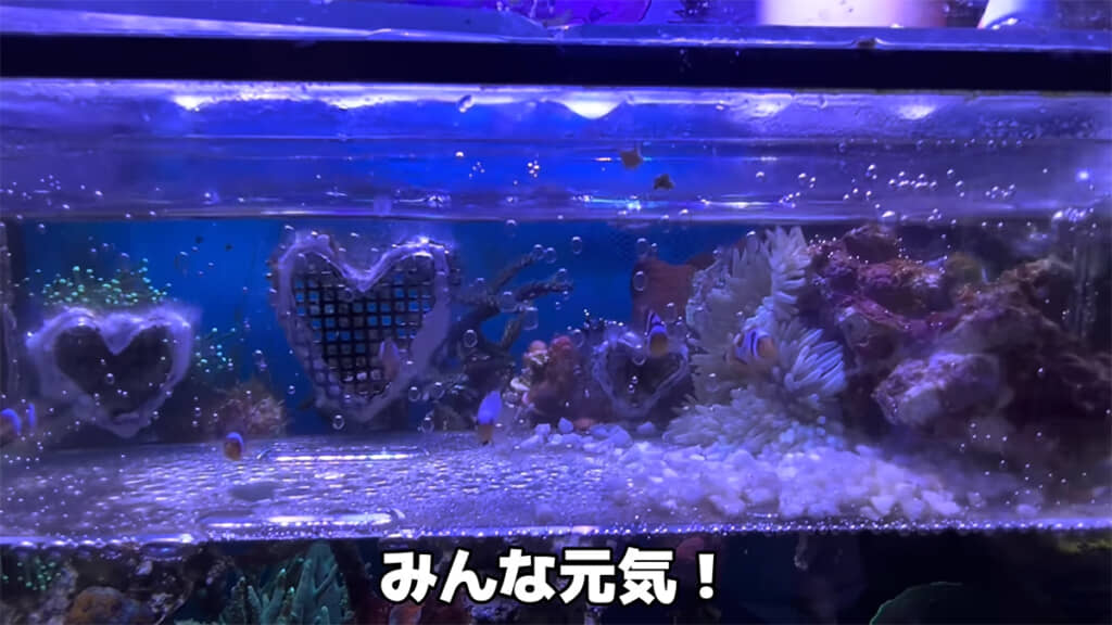 みんな元気で過ごしています◎