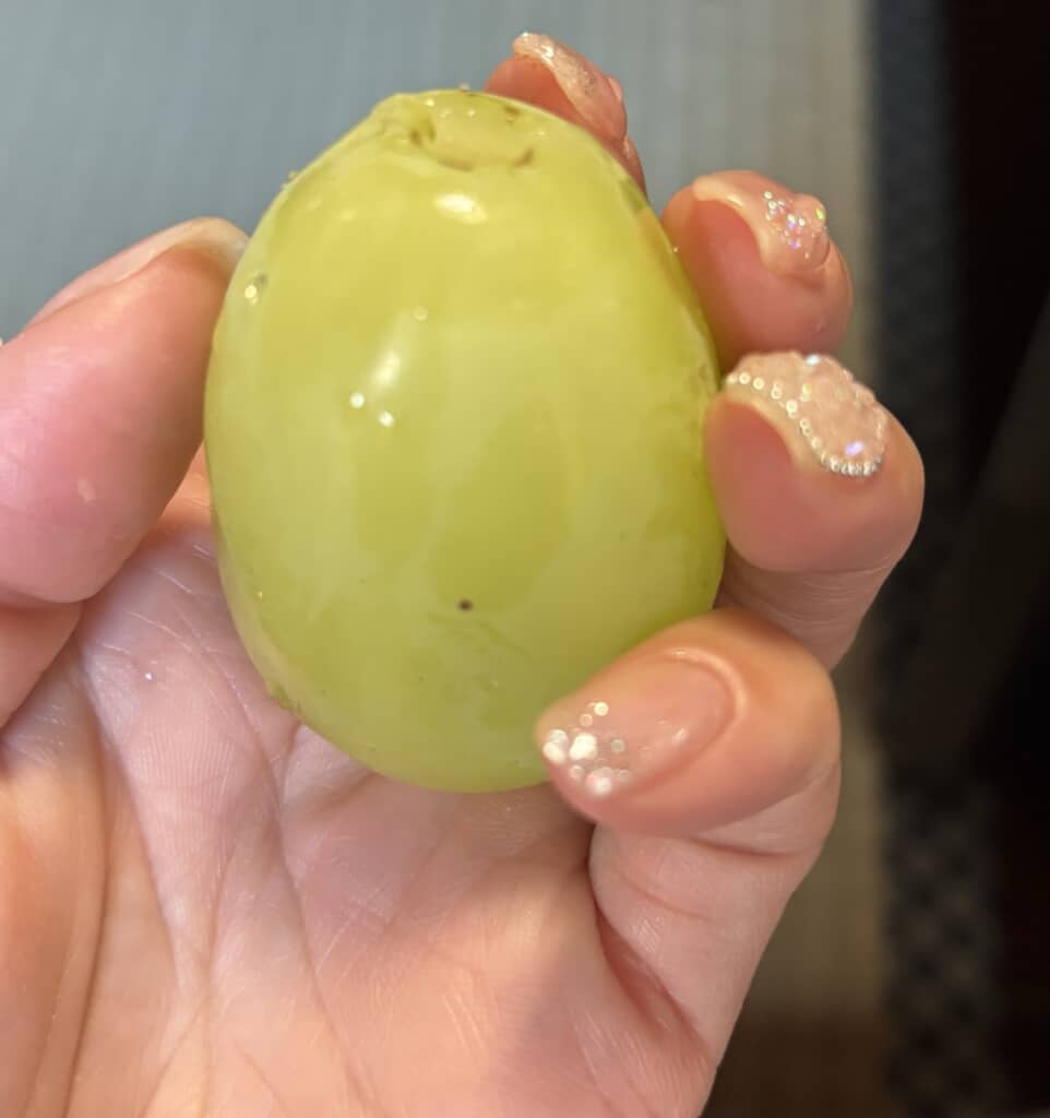 義実家で出されたマスカット