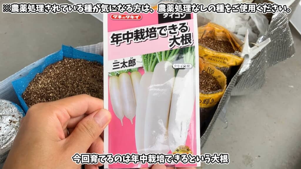 今回育てる「年中栽培できる大根 三太郎」