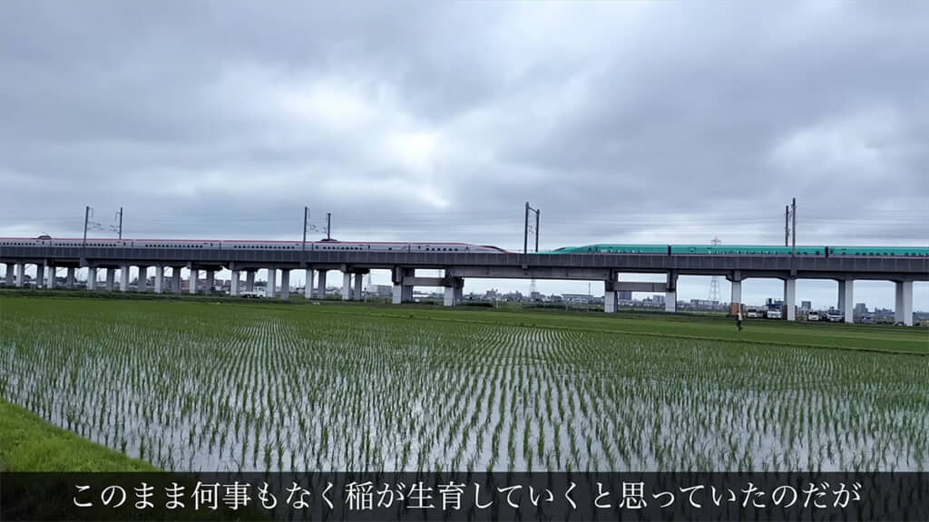 いつも通り、田んぼの見回りに行くと……?