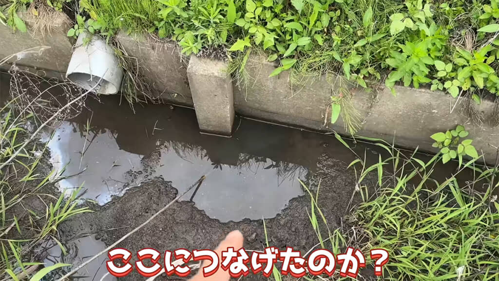 外の用水路まで穴がつながっているようです