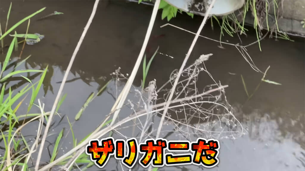 用水路に犯人の姿が