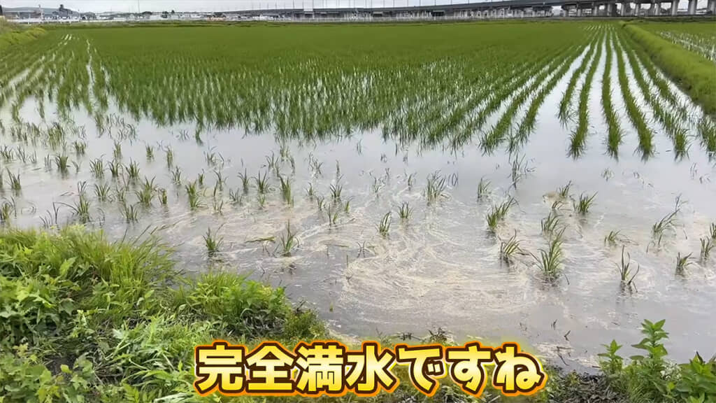 満水になりました