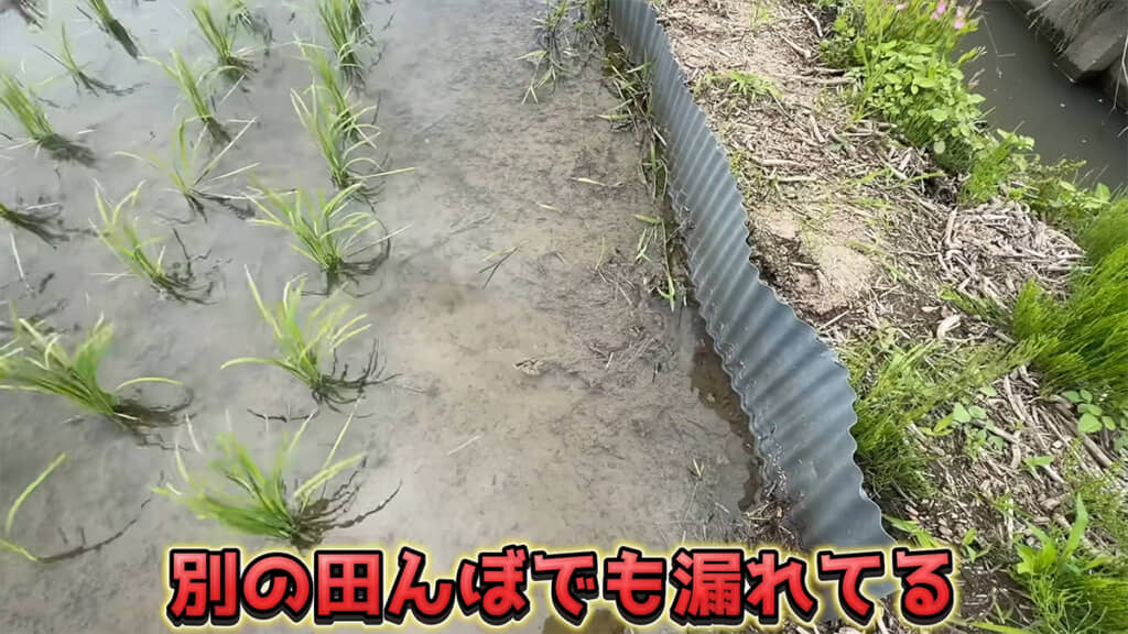 農業は一難去ってまた一難、苦労が絶えないものなのですね