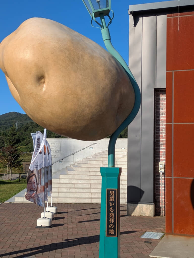 めり込んでいた巨大じゃがいも