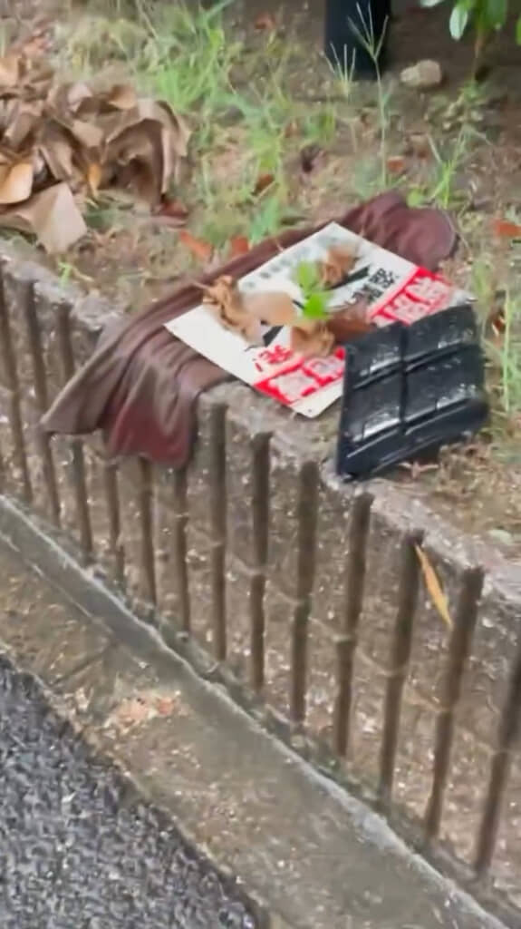 さまざま物が雨水の逃げ場を塞いでしまうようです