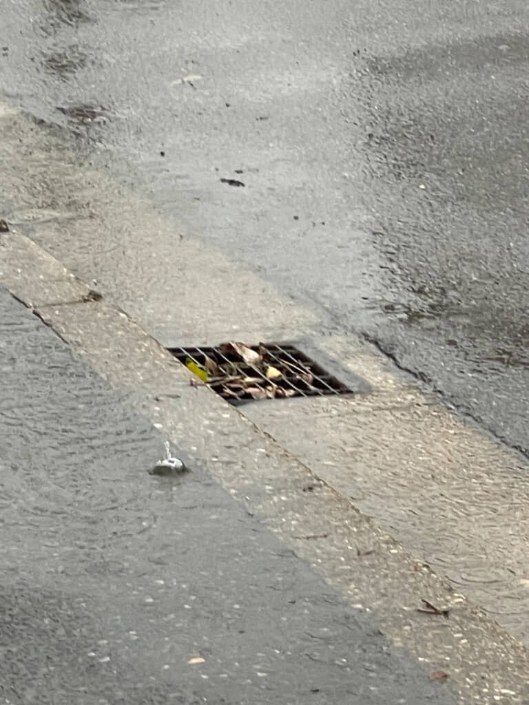 1度掃除したあとも落ち葉がすぐに集まる様子から、豪雨時の詰まりやすさがわかります