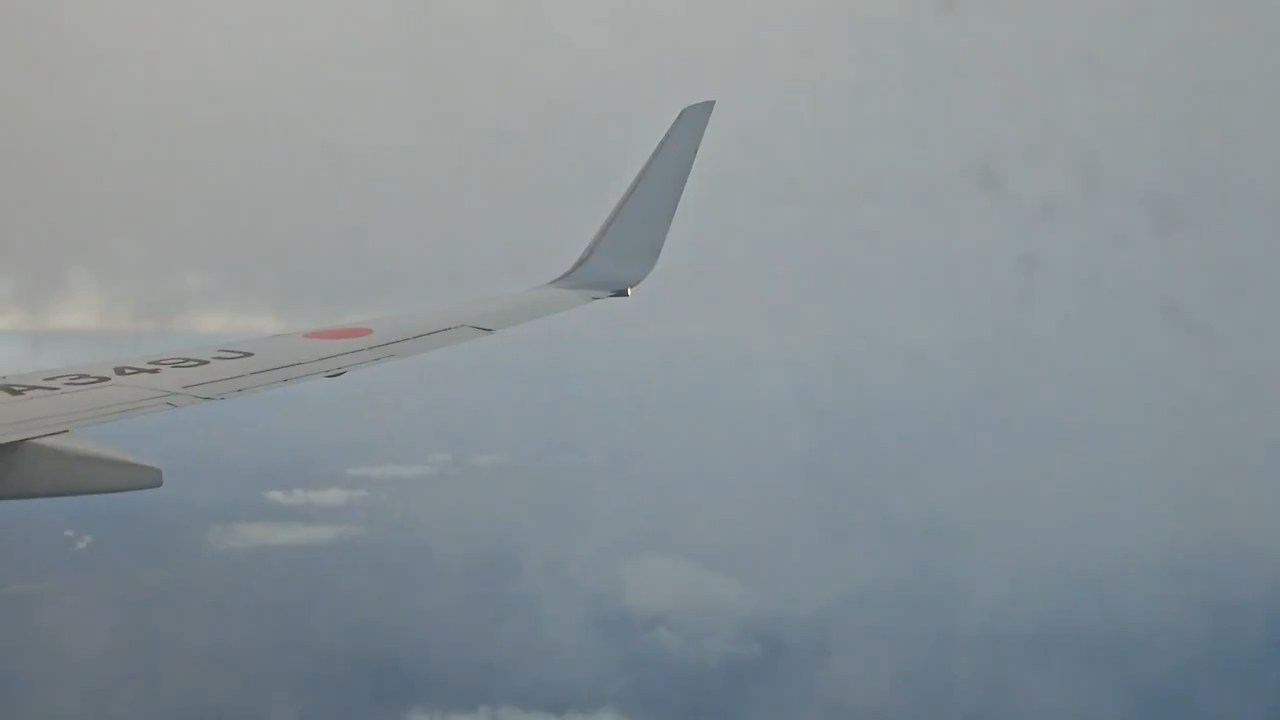 台風が迫るなか、飛行機に搭乗→外を見ると……　「これはさすがに怖い」驚がくの光景に「飛んでくれて良かった」（1/2） | IT・科学 ねとらぼ