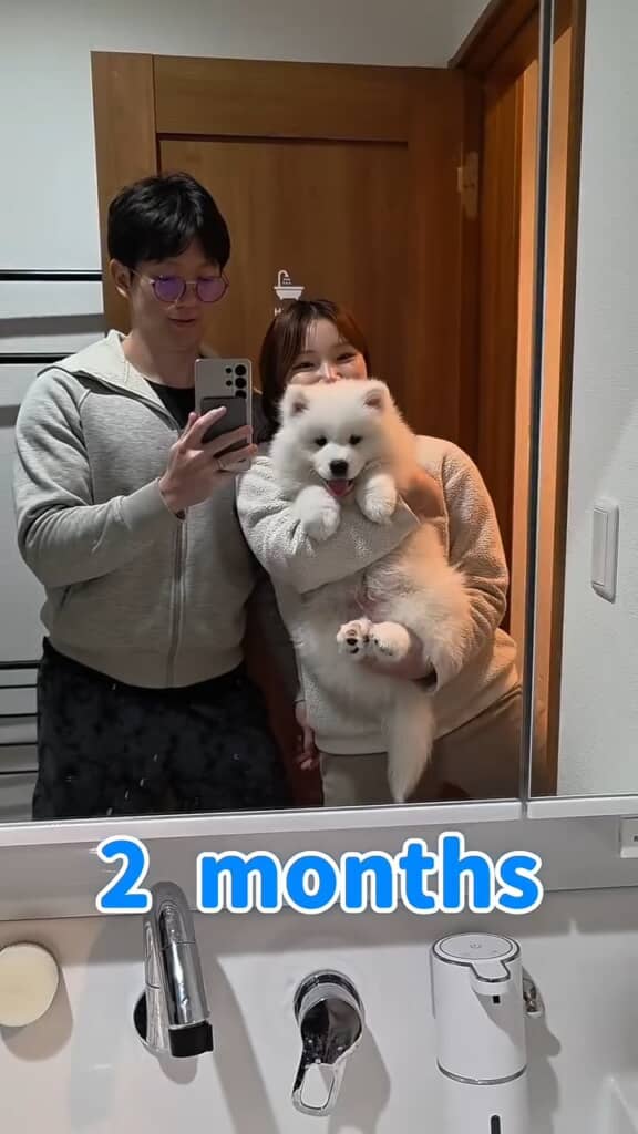 記録は生後2カ月頃からスタート。既に大きいけどまだ子犬