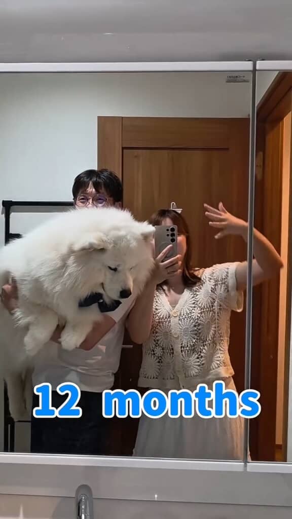 そして1歳。これからもモフモフでお元気に